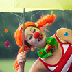 clown1